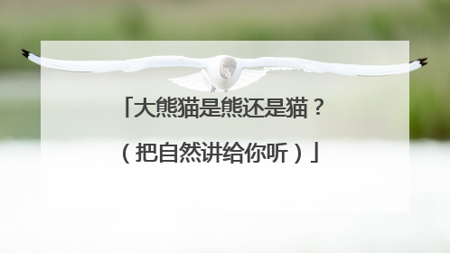 大熊猫是熊还是猫？（把自然讲给你听）