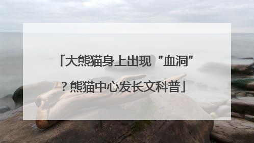 大熊猫身上出现“血洞”？熊猫中心发长文科普