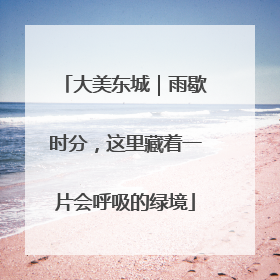 大美东城｜雨歇时分，这里藏着一片会呼吸的绿境