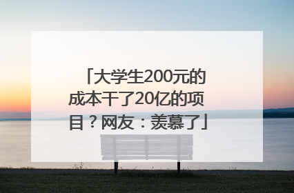 大学生200元的成本干了20亿的项目？网友：羡慕了