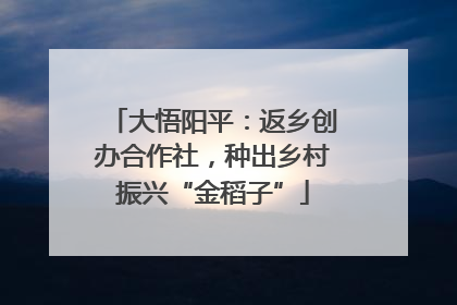 大悟阳平：返乡创办合作社，种出乡村振兴“金稻子”
