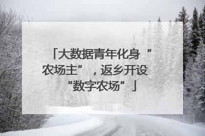 大数据青年化身“农场主”，返乡开设“数字农场”