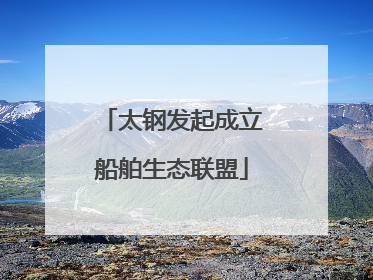 太钢发起成立船舶生态联盟
