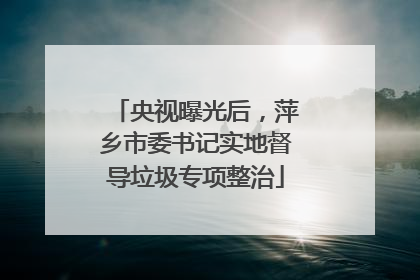 央视曝光后，萍乡市委书记实地督导垃圾专项整治