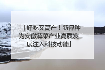 好吃又高产！新品种为安徽蔬菜产业高质发展注入科技动能