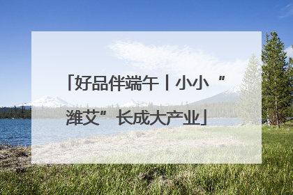 好品伴端午丨小小“潍艾”长成大产业