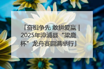 奋楫争先 敢拼爱赢｜2025年漳浦县“梁鹿杯”龙舟赛圆满举行