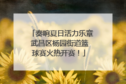 奏响夏日活力乐章 武昌区杨园街道篮球赛火热开赛！