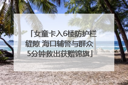 女童卡入6楼防护栏缝隙 海口辅警与群众5分钟救出获赠锦旗