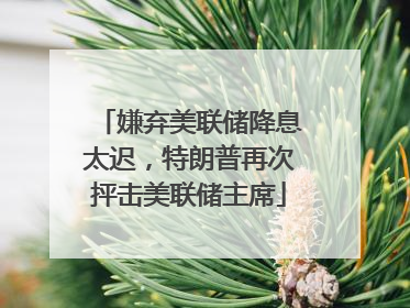 嫌弃美联储降息太迟，特朗普再次抨击美联储主席