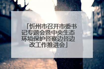 忻州市召开市委书记专题会暨中央生态环境保护督察边督边改工作推进会