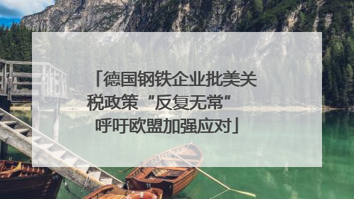 德国钢铁企业批美关税政策“反复无常” 呼吁欧盟加强应对