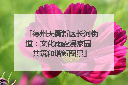 德州天衢新区长河街道：文化雨露浸家园 共筑和谐新图景