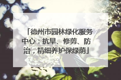 德州市园林绿化服务中心：抗旱、修剪、防治，精细养护保绿荫