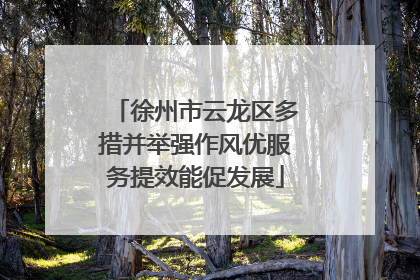 徐州市云龙区多措并举强作风优服务提效能促发展
