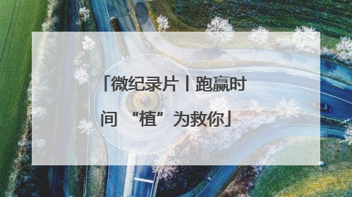 微纪录片丨跑赢时间 “植”为救你
