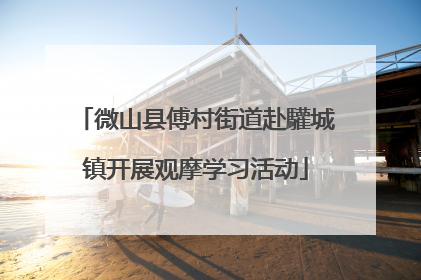 微山县傅村街道赴驩城镇开展观摩学习活动