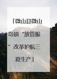 微山县微山岛镇“放管服”改革护航三夏生产