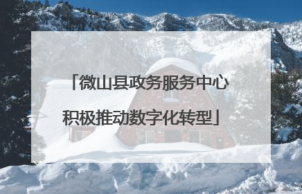 微山县政务服务中心积极推动数字化转型