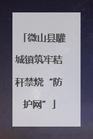 微山县驩城镇筑牢秸秆禁烧“防护网”