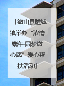 微山县驩城镇举办“浓情端午·圆梦微心愿”爱心帮扶活动
