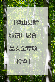 微山县驩城镇开展食品安全专项检查