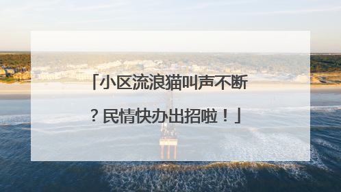 小区流浪猫叫声不断？民情快办出招啦！
