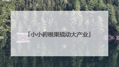 小小碧根果撬动大产业