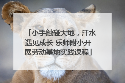 小手触碰大地，汗水遇见成长 乐师附小开展劳动基地实践课程