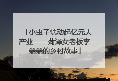 小虫子蠕动起亿元大产业——菏泽女老板李端端的乡村故事
