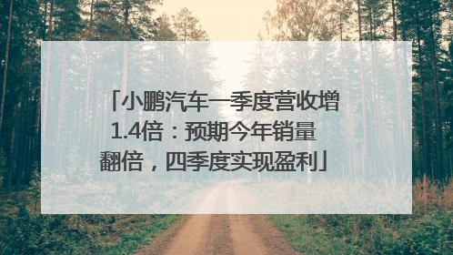 小鹏汽车一季度营收增1.4倍：预期今年销量翻倍，四季度实现盈利