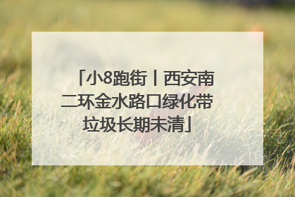 小8跑街丨西安南二环金水路口绿化带垃圾长期未清