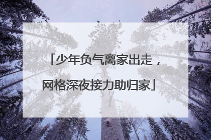少年负气离家出走，网格深夜接力助归家