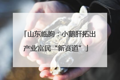 山东临朐：小鹅肝拓出产业富民“新赛道”