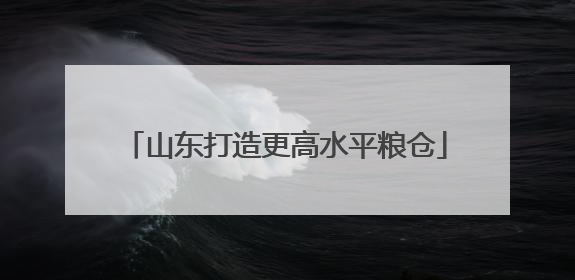 山东打造更高水平粮仓