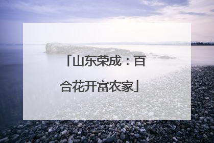 山东荣成：百合花开富农家