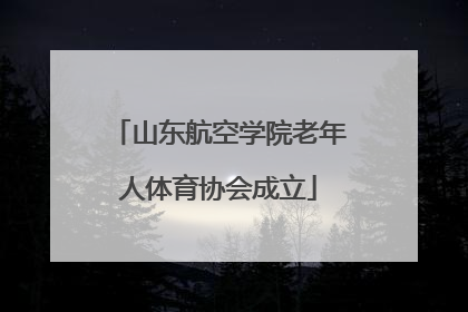 山东航空学院老年人体育协会成立