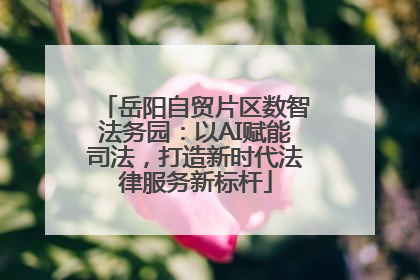 岳阳自贸片区数智法务园：以AI赋能司法，打造新时代法律服务新标杆