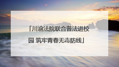 川渝法院联合普法进校园 筑牢青春无毒防线