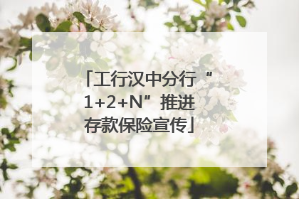 工行汉中分行“1+2+N”推进存款保险宣传