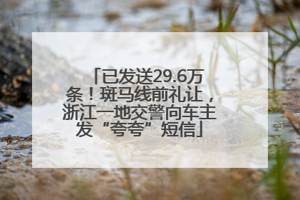 已发送29.6万条！斑马线前礼让，浙江一地交警向车主发“夸夸”短信
