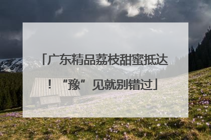 广东精品荔枝甜蜜抵达！“豫”见就别错过