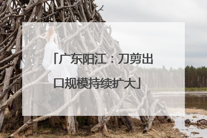 广东阳江：刀剪出口规模持续扩大