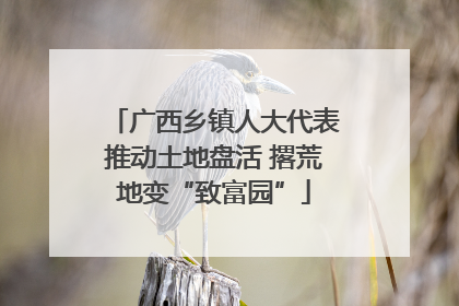 广西乡镇人大代表推动土地盘活 撂荒地变“致富园”