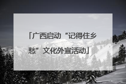 广西启动“记得住乡愁”文化外宣活动