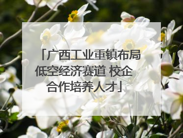 广西工业重镇布局低空经济赛道 校企合作培养人才