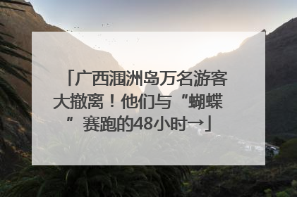 广西涠洲岛万名游客大撤离！他们与“蝴蝶”赛跑的48小时→