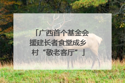 广西首个基金会援建长者食堂成乡村“敬老客厅”