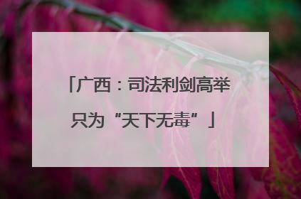 广西：司法利剑高举 只为“天下无毒”