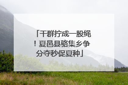 干群拧成一股绳！夏邑县骆集乡争分夺秒促夏种